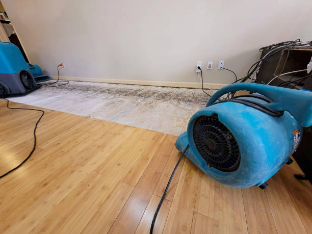 Professional Sewage Cleanup technician working in Robersonville, NC